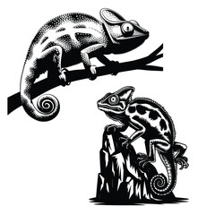 Chameleons Vector of Reptile Species