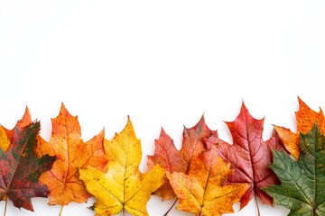 Autumn Maple Leaves Flat Lay White Background created with Generative AI