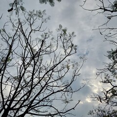 Under tree