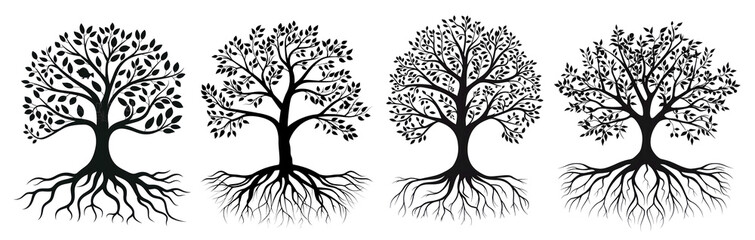 Set of silhouettes of black trees. Isolated on transparent background.