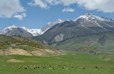 Kyrgyzstan, Lake Issyk-Kul. Panoramic view of the high-altitude pasture between Grigoryevsky and Semenovsky gorges.