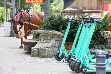 
row after row of scooters and in the background a brown horse with the inscription 