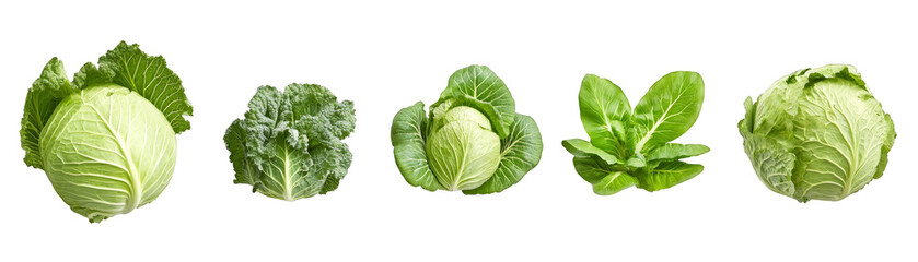 Obraz premium Green cabbage vegetables isolated transparent background