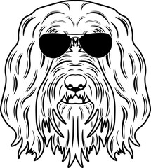 Bearded Collie In Sunglasses
