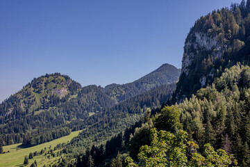 A panoramic view of lush green mountains under a clear blue sky in the early hours of summer in a tranquil wilderness area