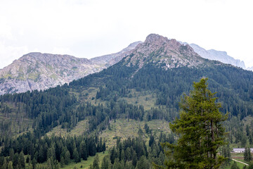 Majestic mountain landscape with dense forest and rugged peaks under overcast sky in the Dolomites...