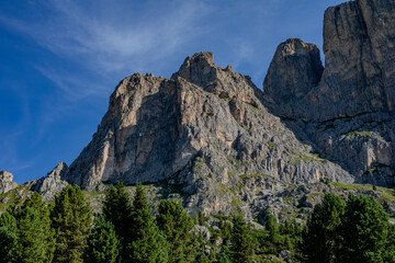 Majestic rocky mountains under a clear blue sky with lush green trees in the foreground during a sunny summer day