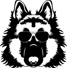Belgian Tervuren In Sunglasses