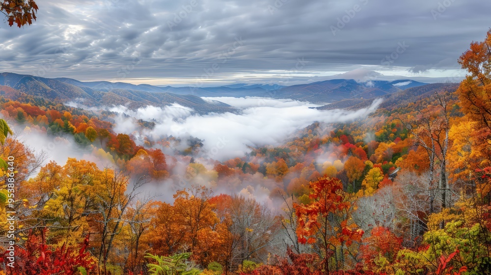 Poster a panoramic view of a fog-covered valley during autumn, with distant mountains partially visible and