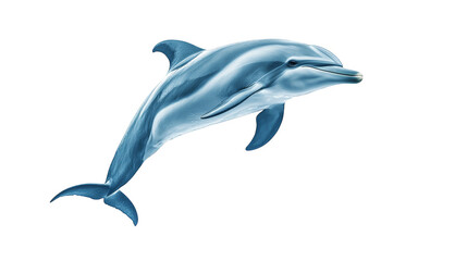 Fototapeta premium Digital Art Dolphin with Glitch Background