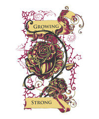 designious vector design and illustration 