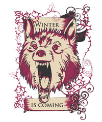 designious vector design and illustration 