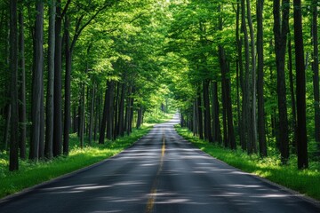 Obraz premium Tunnel of Trees Michigan: Idyllic Scenery on Iconic Northern Michigan Road Trip