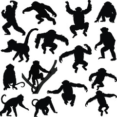 set of fifteen black monkeys silhouettes isolated on white