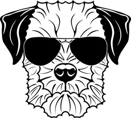 Border Terrier In Sunglasses