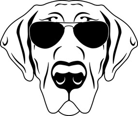 Broholmer In Sunglasses