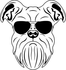 Brussels Griffon In Sunglasses