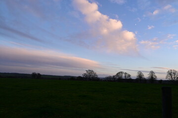 sunset over the field