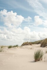 Sand dunes on the dutch island of Schiermonnikoog