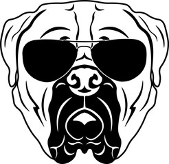 Bullmastiff In Sunglasses