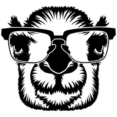 Obraz premium Camel In Glasses