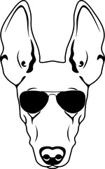 Cirneco dell Etna In Sunglasses