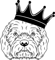 Dandie Dinmont Terrier Wearing A Crown