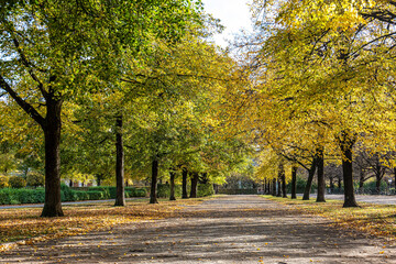 Naklejka premium Walking in Hofgarten Park in Munich on an autumn day, Germany