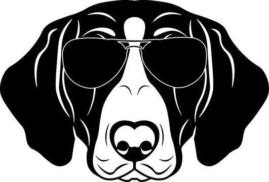 Drever In Sunglasses