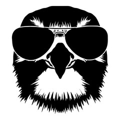 Falcon In Sunglasses
