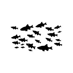 Silhouettes of groups of fishes on white. Vector