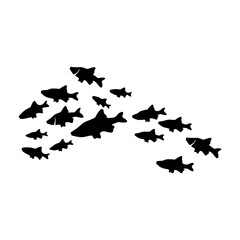 Silhouettes of groups of fishes on white. Vector