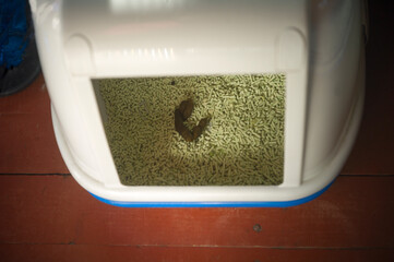 excrements in pets litter