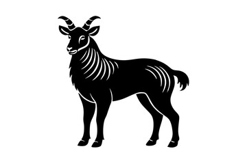 animal vector illustration