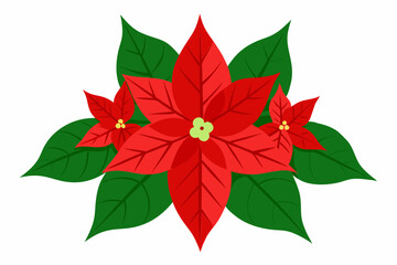  Poinsettia flowers with lush green leaves vector illustration