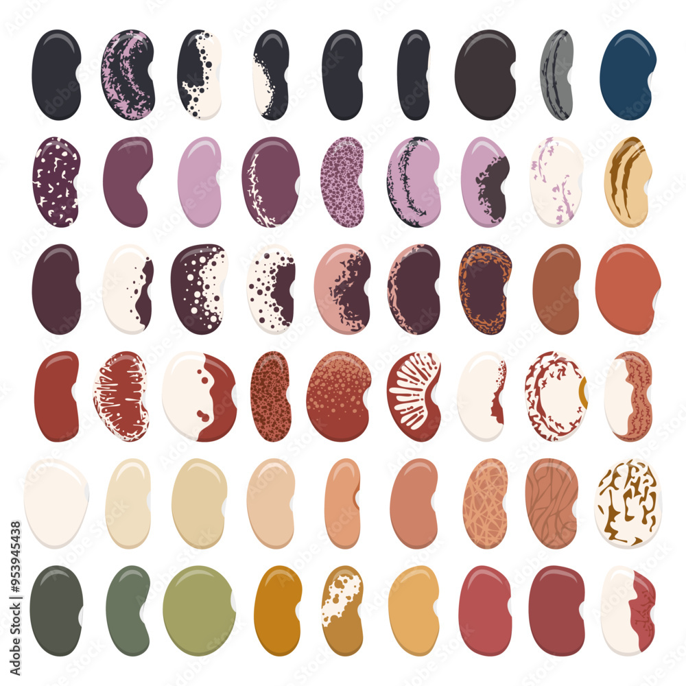 Poster set of color illustrations with green beans, kidney beans. isolated vector objects on white backgrou