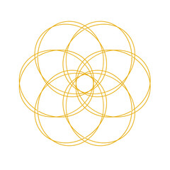 flower illustration