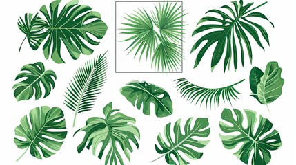 Frames from tropical leaves Jungle stylised nature symbols decorative shapes of different forms recent templates for print design projects