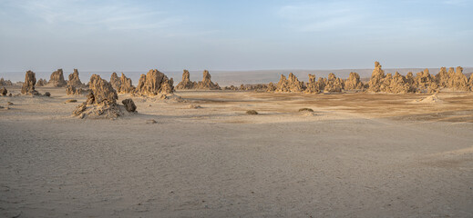 Desert rock formation at Lake Abbe, Djibouti, East Africa, Horn of Africa