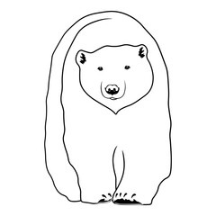 Polar Bear