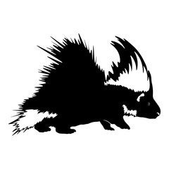 Porcupine