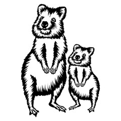 Quokka Mama and Baby