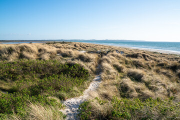 Danish Dune landscape on a sunny day in Gudmindrup