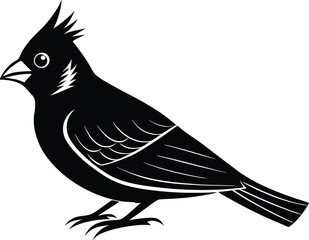 bird silhouette isolated on white
