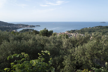 A Coastal Paradise Overlooking the Mediterranean