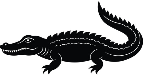 crocodile in front of a white background