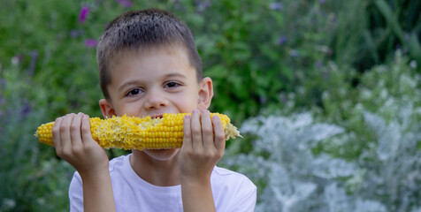 a boy eats corn. Selective focus