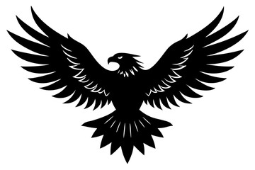 Fototapeta premium eagle with wings