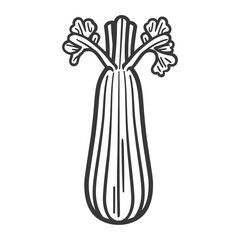Black and White Line Drawing of a Celery Stalk
