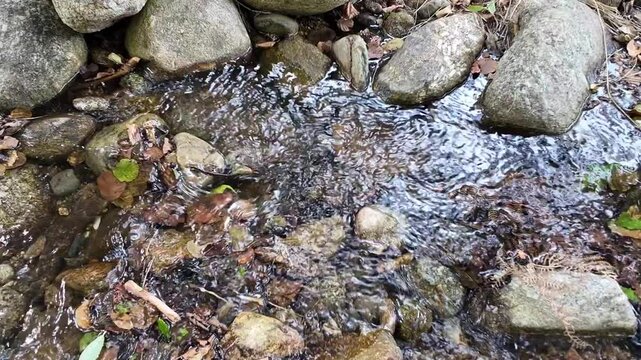 Agua corriendo entre las piedras